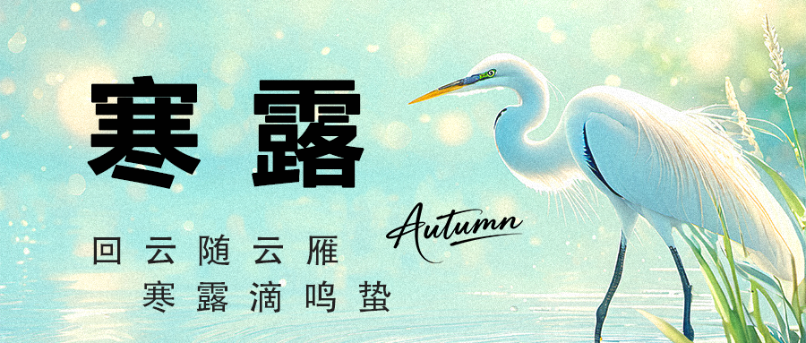 霜染秋光，蓄力前行｜湖北润力与您共迎寒露时节